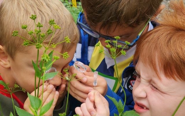 Three children looking at flowers